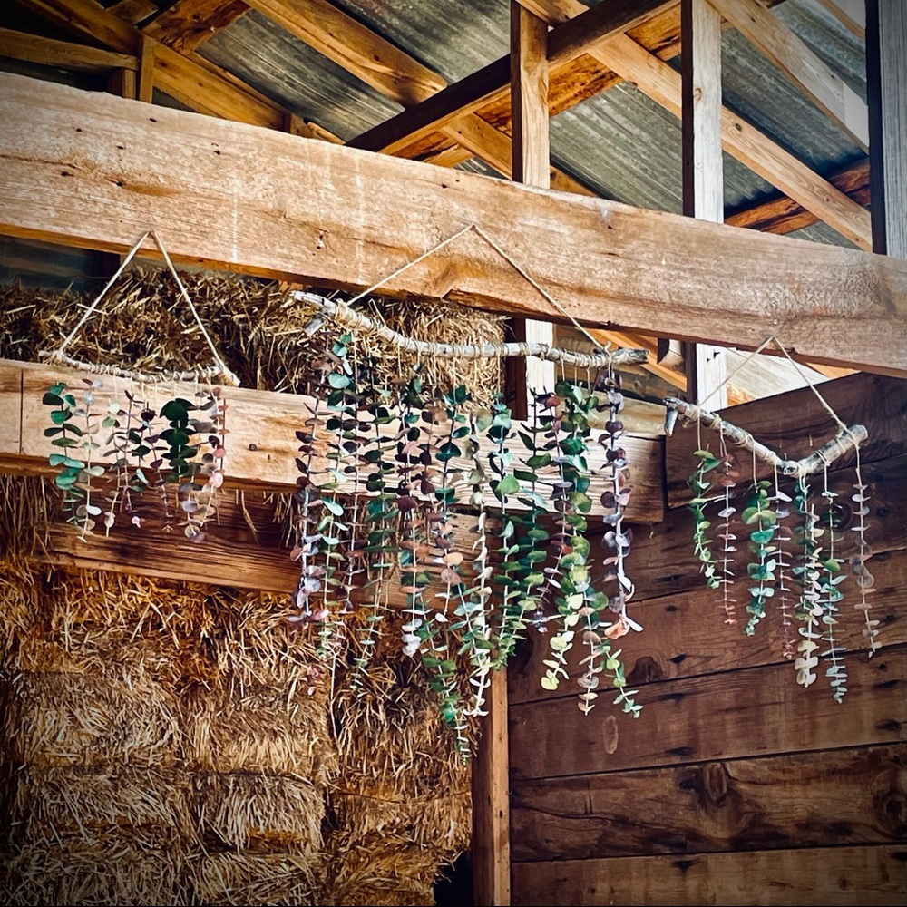 Boho Eucalyptus Wall Hanging - Rustic Minimalist Décor, Natural Aroma